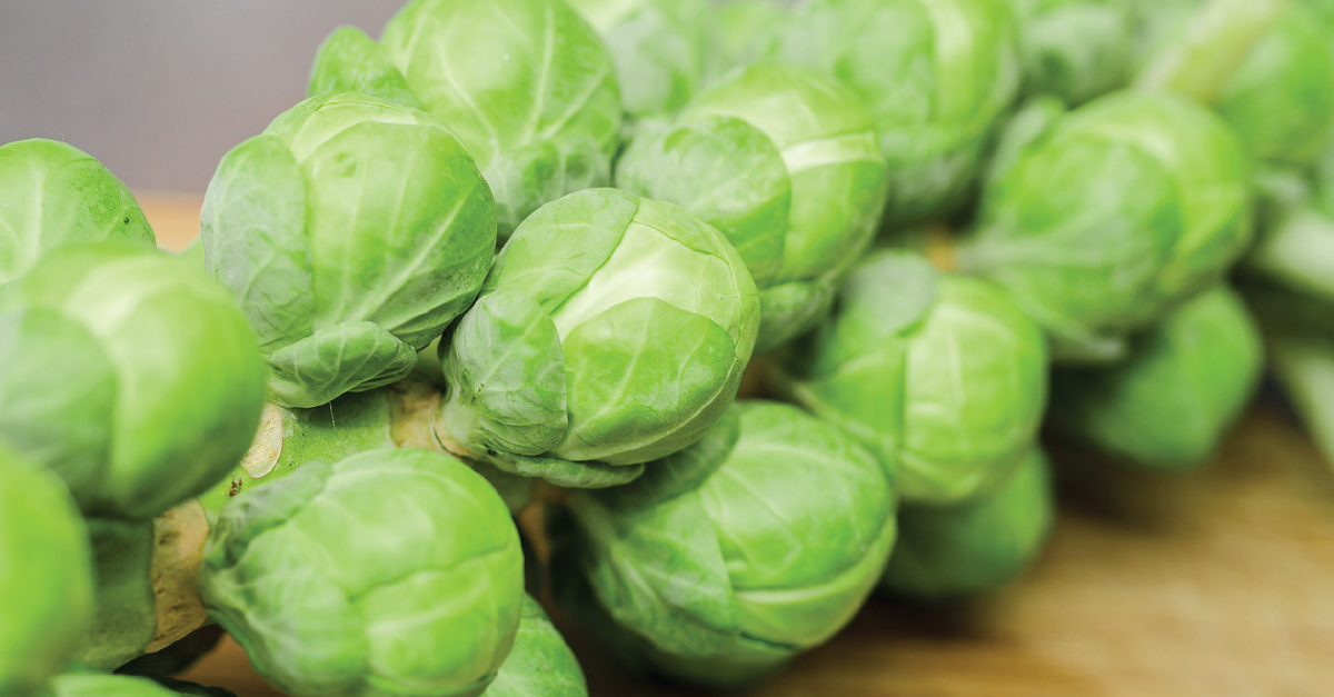 Brussel Sprout กะหล่ำดาว ในงานเทศกาล